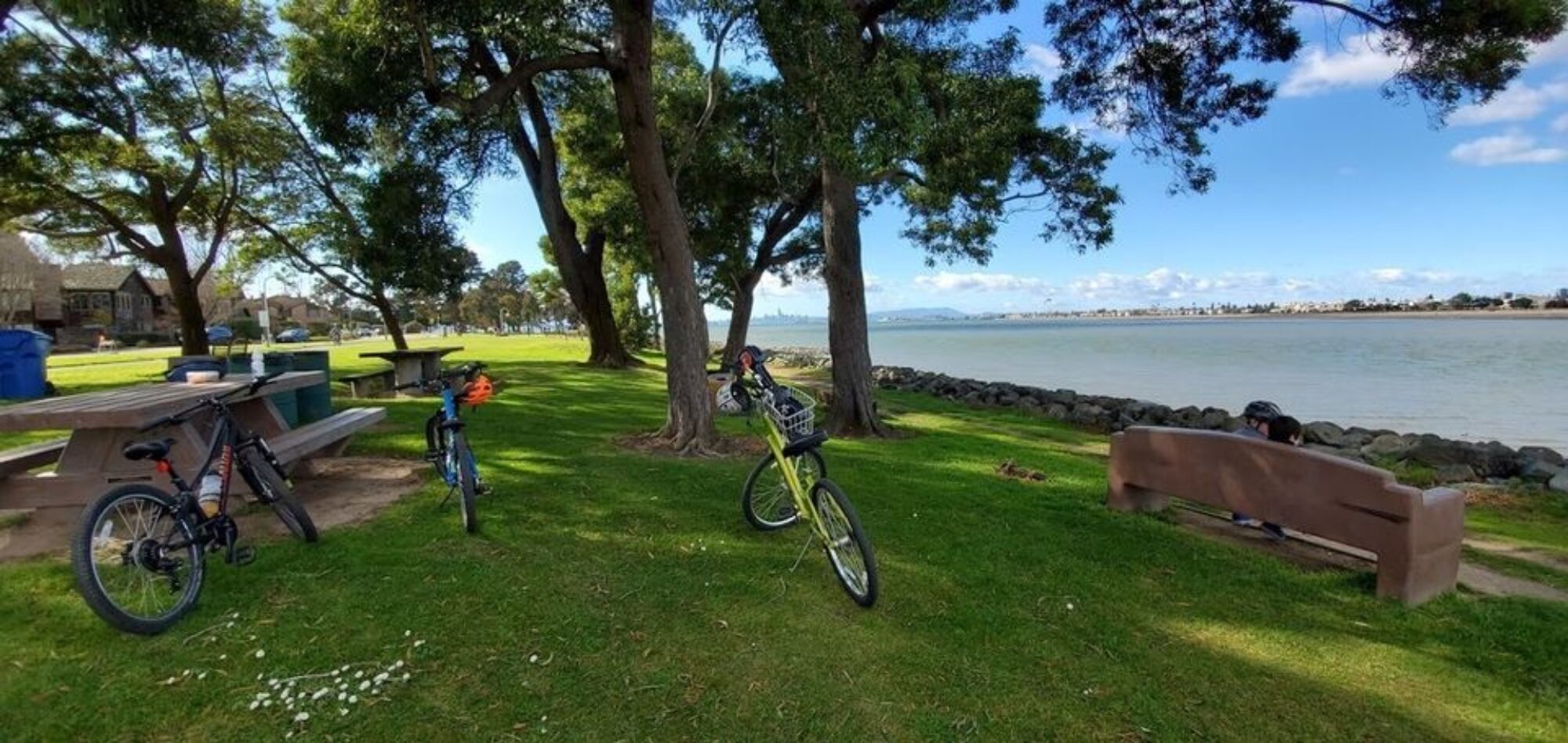 three bikes, 2 boys on a bench, SF skyline in background